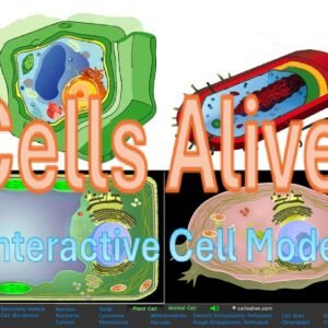 Cells Alive Interactive Cell Model icon